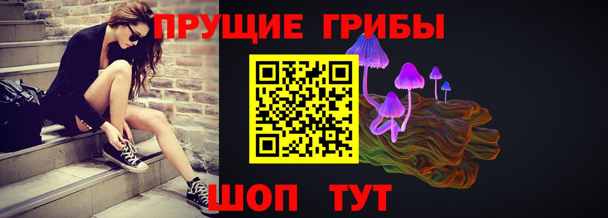 Псилоцибиновые грибы Cubensis Киселёвск